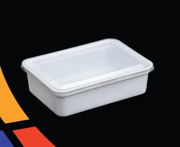 Plastic Rectangular Box